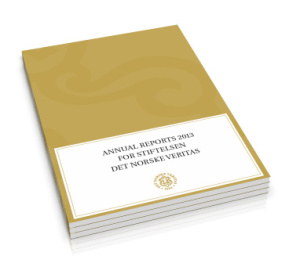 Cover annual reports 2013